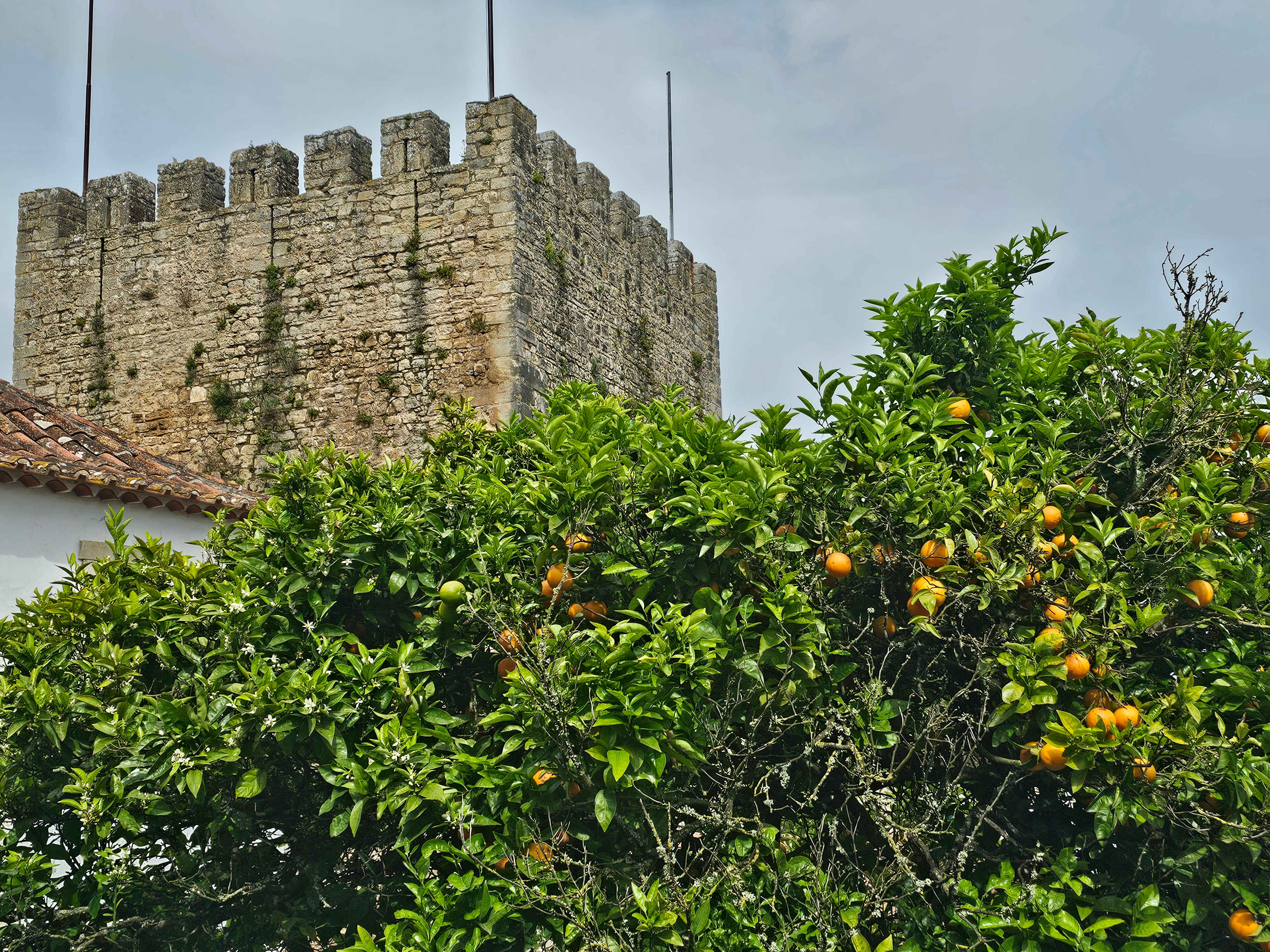 Obidos